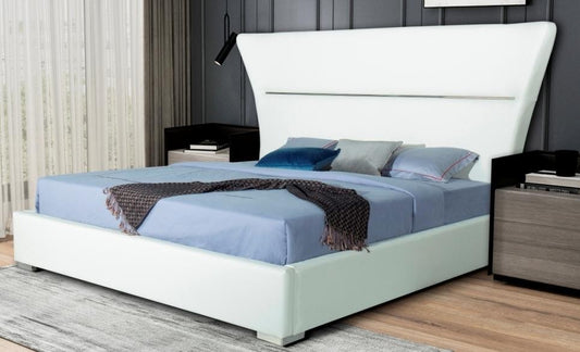 Lit Mimosa NCA Designs